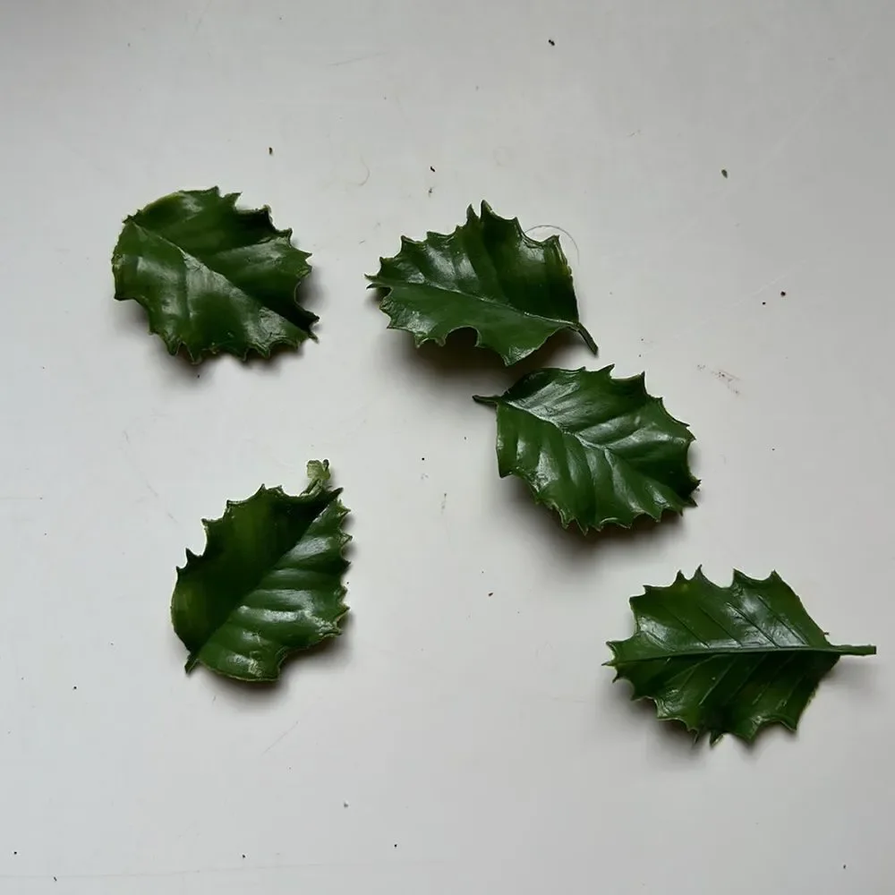 Two Vintage‎ mid century plastic poinsettia garlands